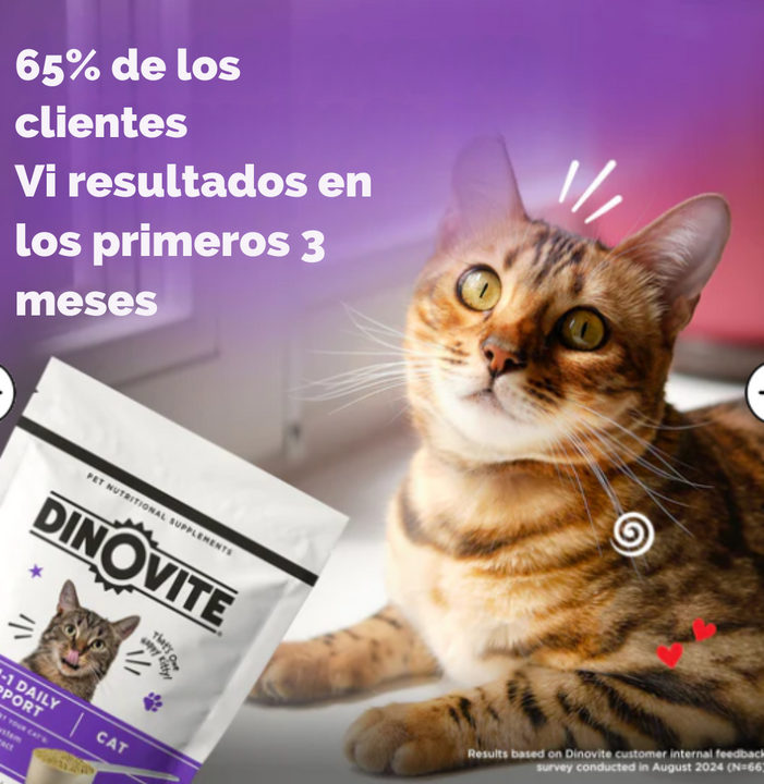 Feline Digestive Boost ™ MEJORA EL SISTEMA INMUNOLÓGICO DE TU GATO