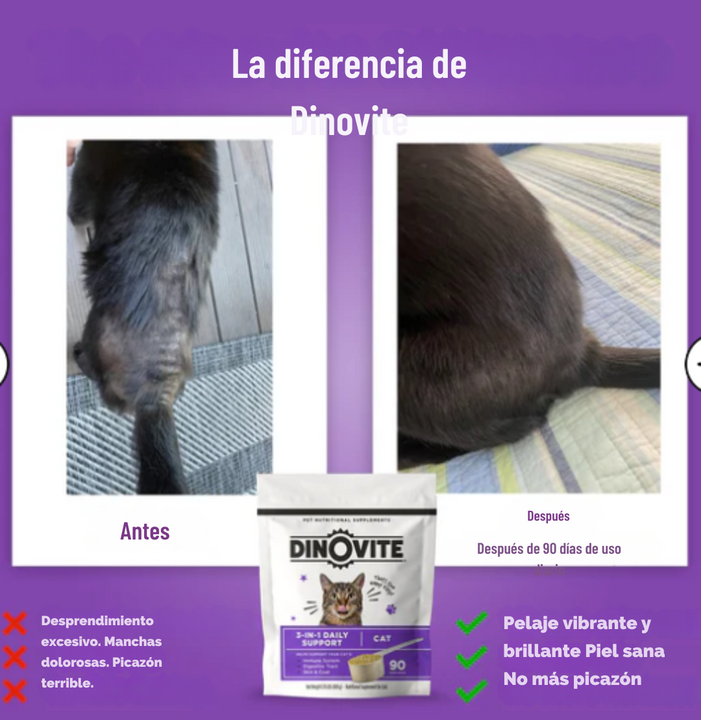 Feline Digestive Boost ™ MEJORA EL SISTEMA INMUNOLÓGICO DE TU GATO