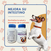 Bocados Integral Pet™️ Mejora su intestino y sus defensas