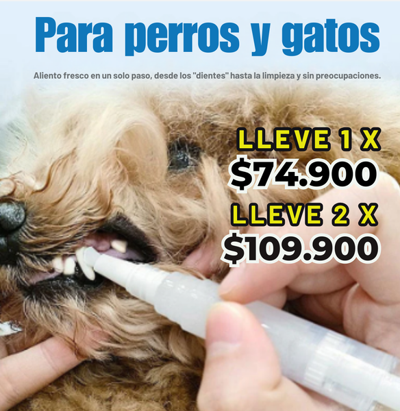 Cepillo Dental Animals Clean™ protege la salud bucal de tu mascota