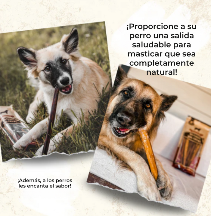 Canine Joy™ Palitos de Felicidad Canina