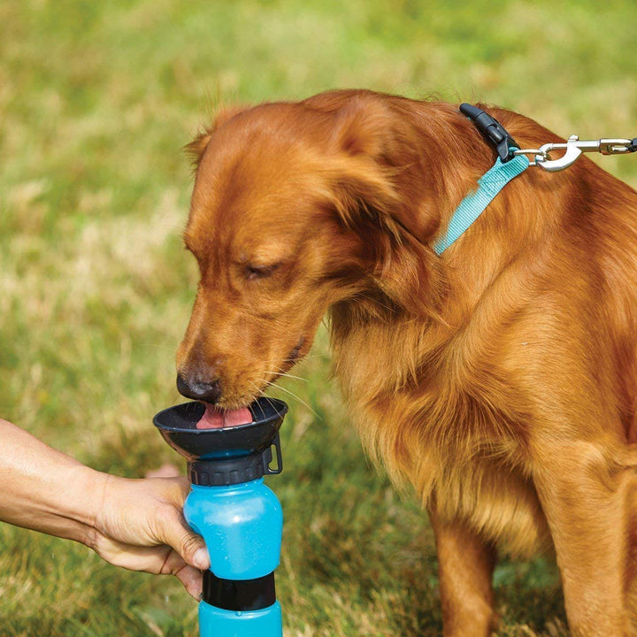 Botella de agua para perros 40% OFF