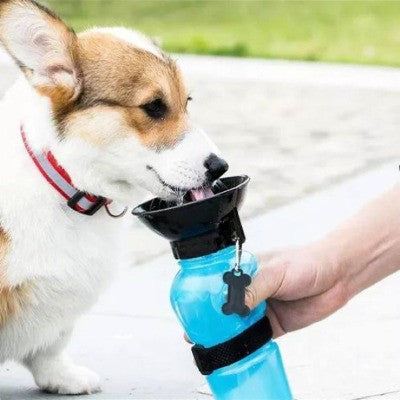 Botella de agua para perros 40% OFF